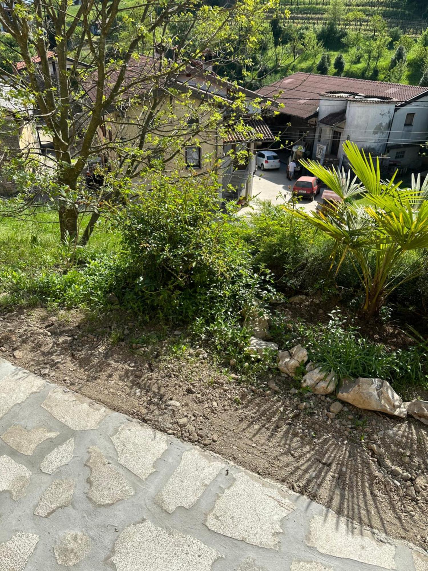 Apartma Anze Samec Dobravlje Exteriör bild
