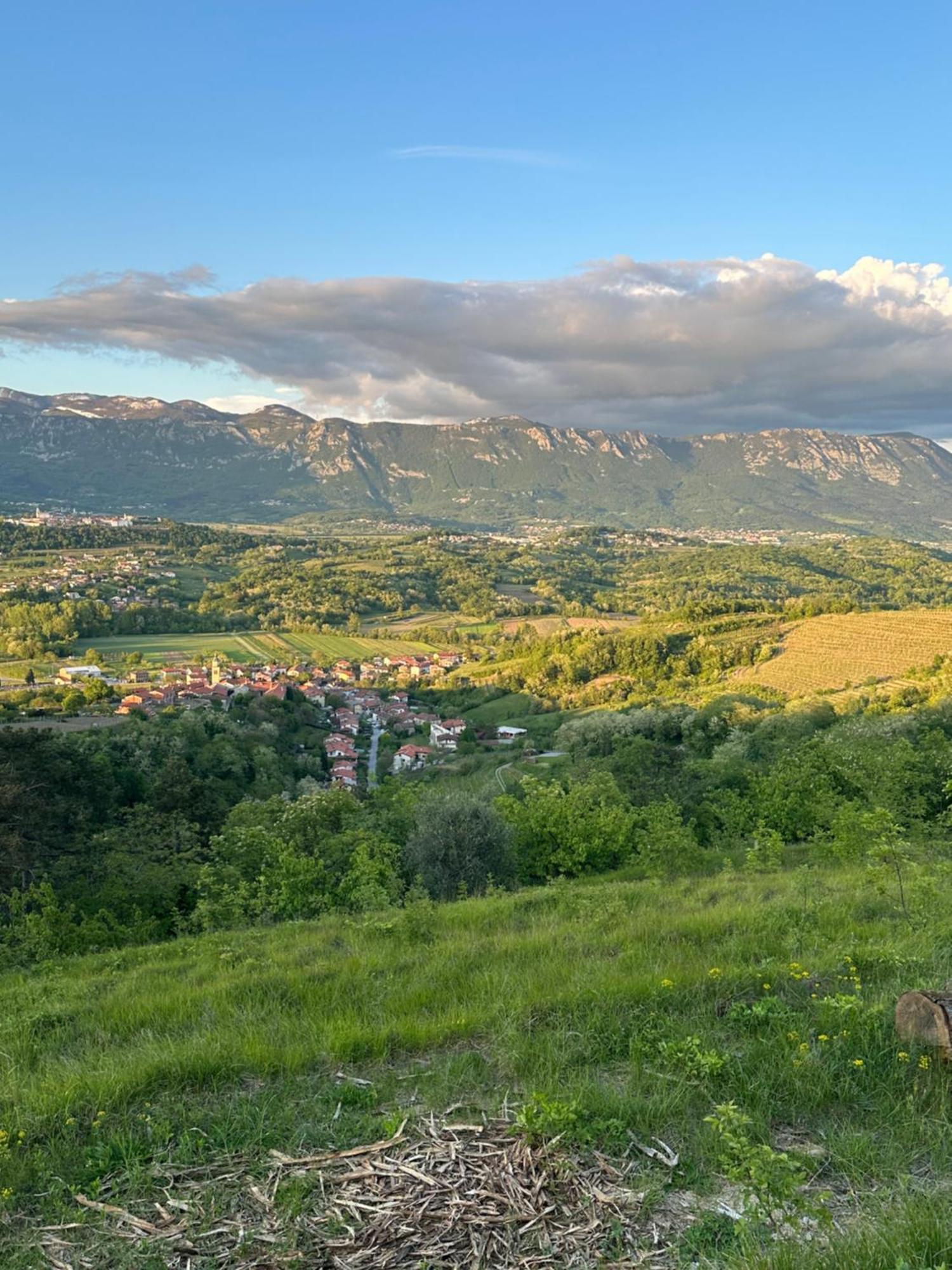 Apartma Anze Samec Dobravlje Exteriör bild